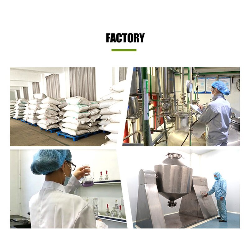 Aronia Berry Extract - Manufacturer 5%-25% Anthocyanidins 100% Pure Natural