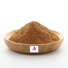 Arnica Extract - Manufacturer High Quality Montana Flower Pure Powder
