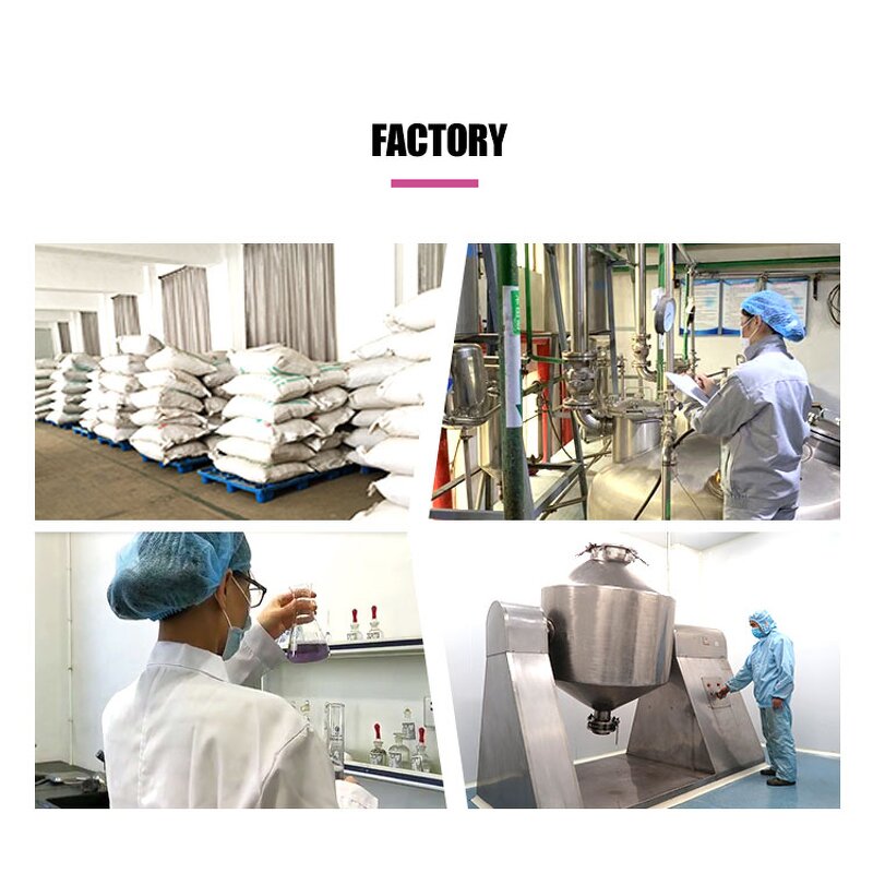 Butterfly Pea Extract - Manufacturer Natural Flower Powder Free Sample Supply