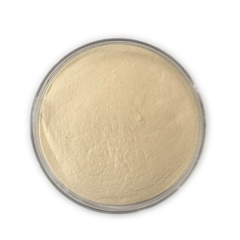 Phosphatidylserine - Manufacturer CAS 51446-62-9 20% Soybean Extract