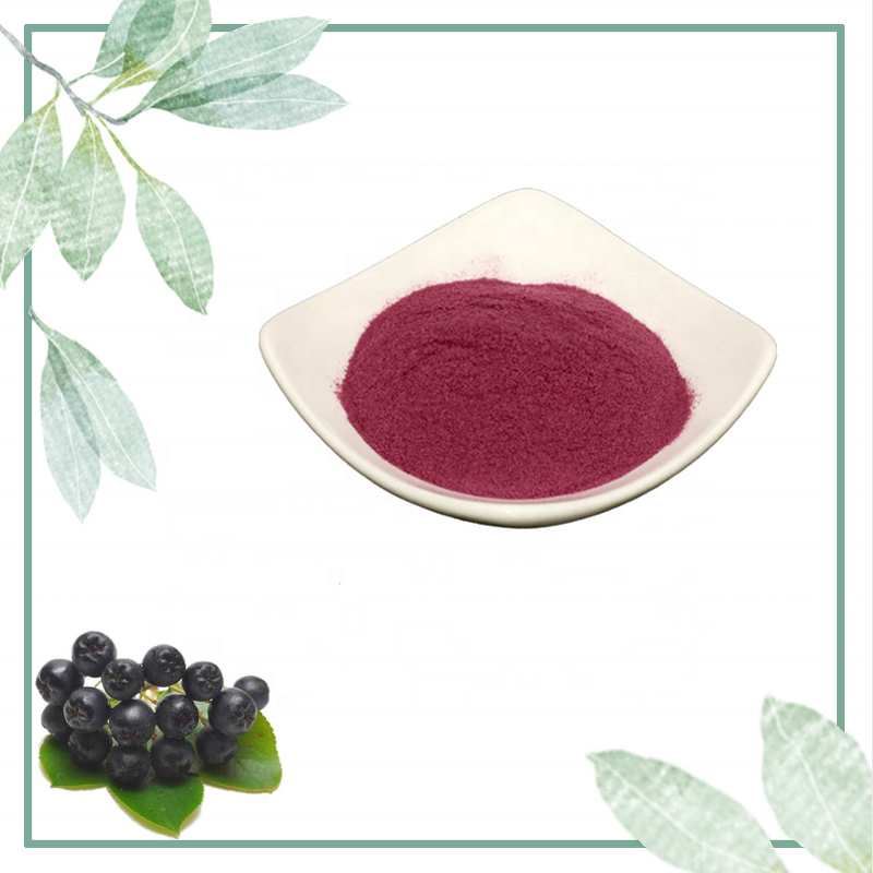 Aronia Berry Extract - Manufacturer 5%-25% Anthocyanidins 100% Pure Natural