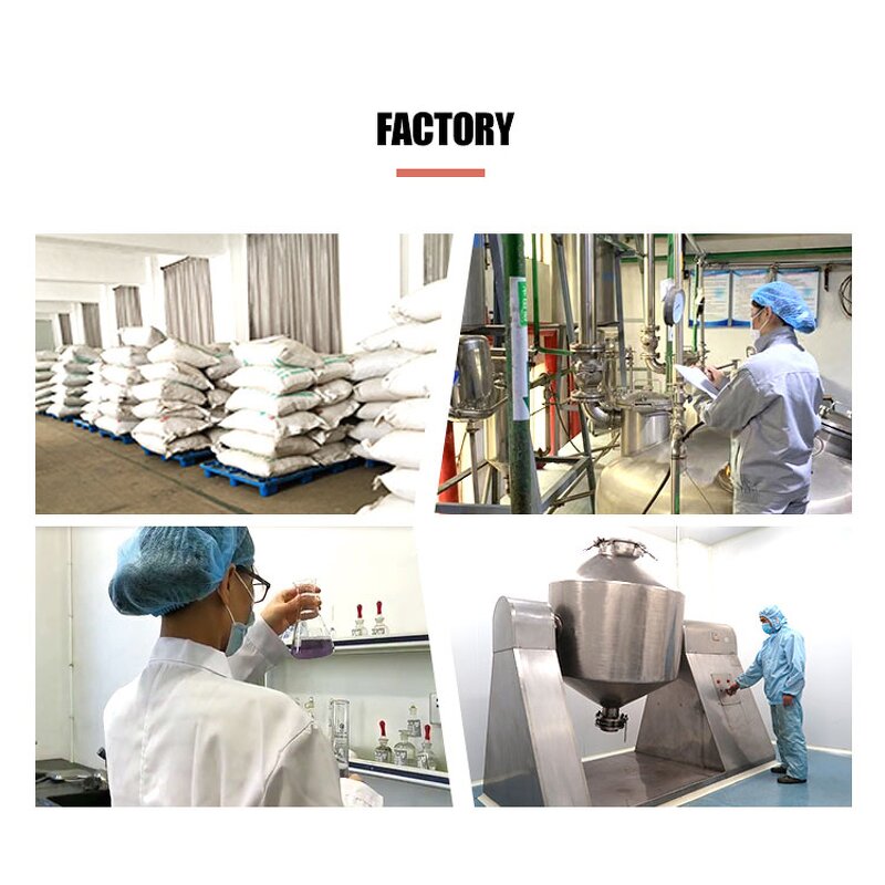 Rose Extract - Manufacturer Natural Flower Petal Powder Bulk Pure Supply