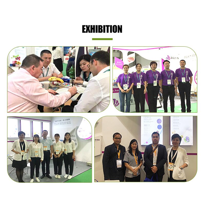 Bacillus Coagulans - Manufacturer 100 Billion Cfu/g Probiotics Additive