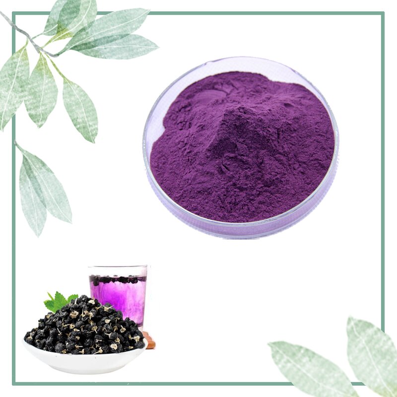 Black Goji Extract - Manufacturer 5%-25% Anthocyanin Black Wolfberry Powder