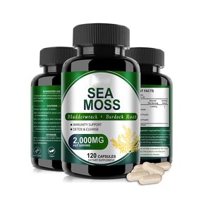 Sea Moss Capsules - Manufacturer Bulk Irish Extract Herbal Supplement