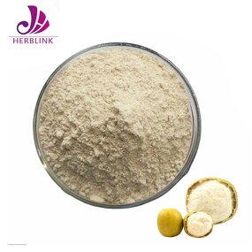 Monk Fruit Extract - Manufacturer 25%-50% Mogroside V Bulk Sweetener