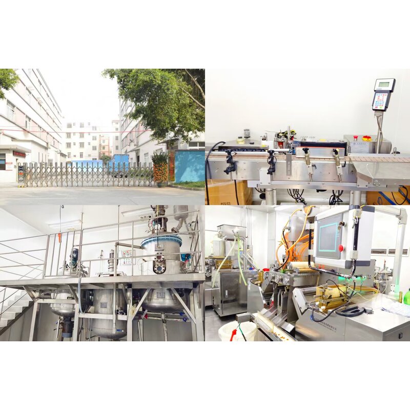 Moringa Capsules Manufacturer - Natural Green Antioxidant for Energy & Skin