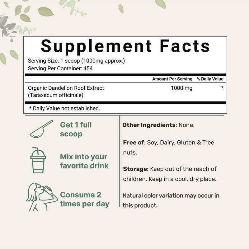 Dandelion Root Powder Manufacturer - Herbal Extract 454g for Adults