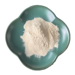 Garlic Extract Powder Supplier - CAS 539-86-6 Dehydrated