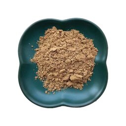 Hoodia Cactus Extract Supplier - 20:1 Nopal Cactus