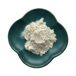 Liposomal NMN Powder Manufacturer - Beta Nicotinamide