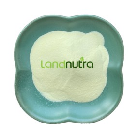 Vitamin A Palmitate Powder Factory - 99% 250 325 CWS