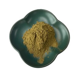 Holy Basil Extract Factory - Thai Tulsi Stress Support