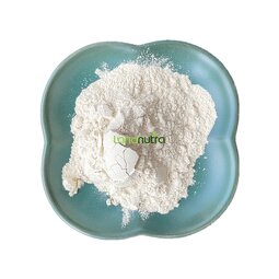 Bromelain Powder Factory - 2400 GDU Pineapple Extract