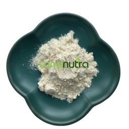 Mung Bean Protein Powder Supplier - 100% Organic
