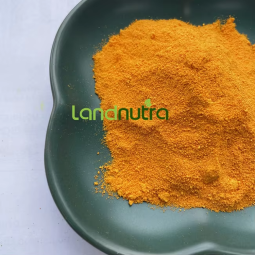 Zeaxanthin Powder Manufacturer - 85% Marigold Extract