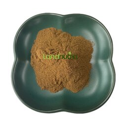 Tribulus Terrestris Extract Factory - 60% 70% Saponins