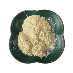 Hydrolyzed Soy Protein Supplier - Water Soluble Powder