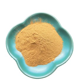 Chlorogenic Acid Supplier - 5% 25% Honeysuckle Extract