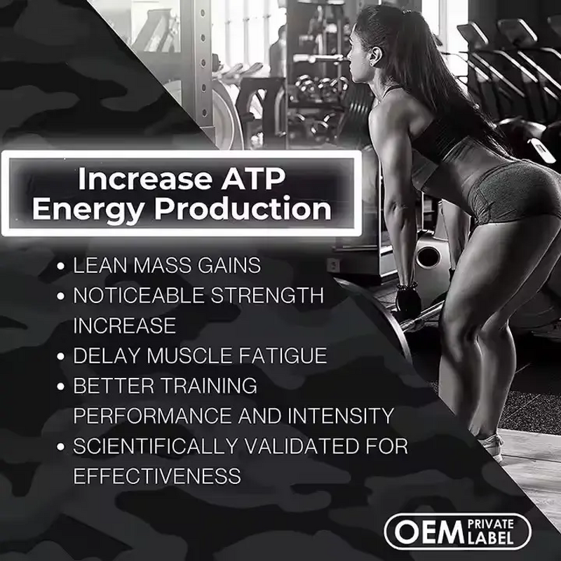 Total-T Supplement - Manufacturer OEM Coenzyme Booster Men 90ct Wellness Support