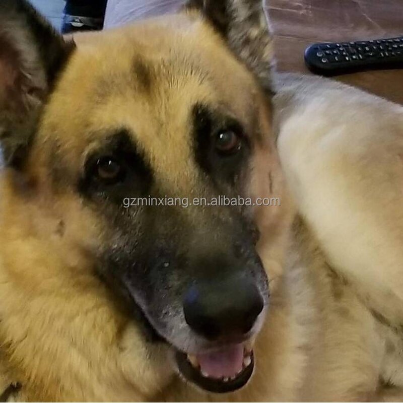 Pet Multivitamin Tablets - Manufacturer Freeze Dried Minerals Overall Health Support