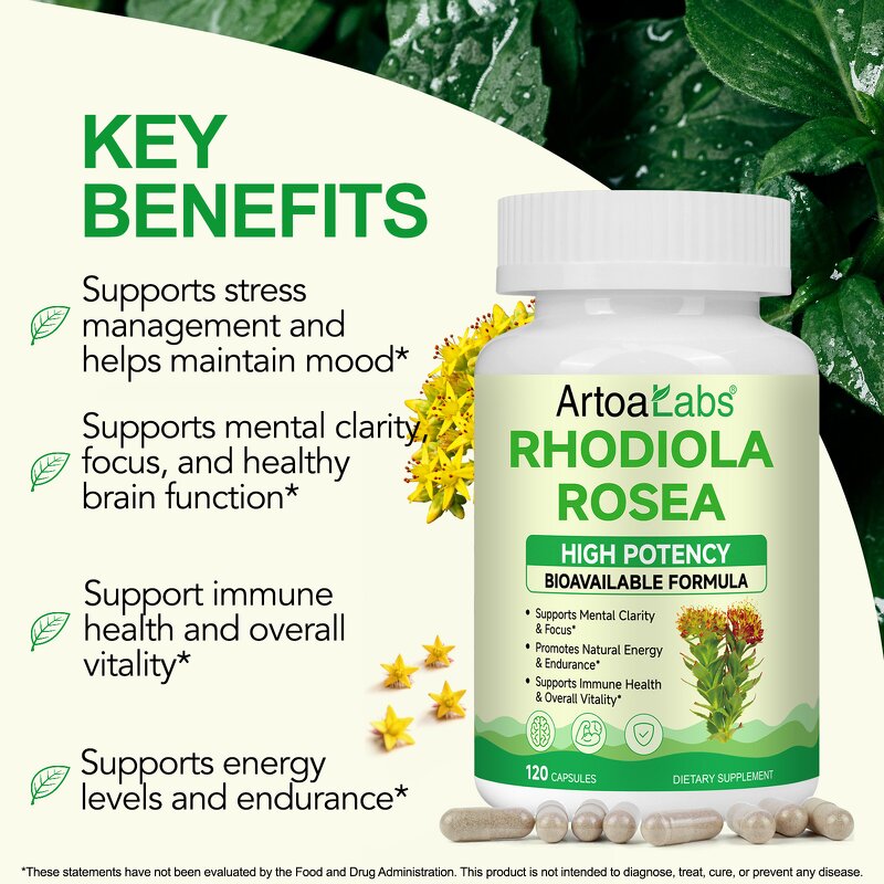 Rhodiola Rosea Capsules - Manufacturer Private Label Non-GMO Organic Focus Stress