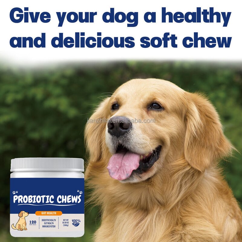 Dog Probiotic Tablets Manufacturer - Chewable Natural for Intestinal Health