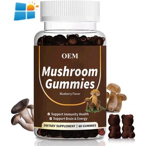 Mushroom Gummies - Manufacturer OEM/ODM/OBM Vegan Cordyceps Reishi Lions Mane
