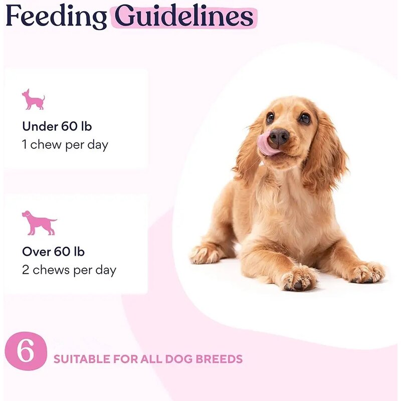 Dog Multivitamin Chews - Manufacturer OEM/ODM/OBM 10 in 1 Glucosamine Probiotics