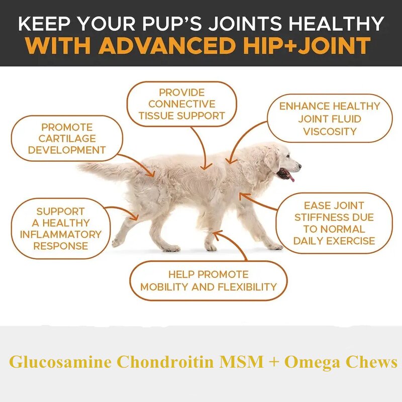 OEM/ODM/OBM Glucosamine Chondroitin MSM Soft Chews Hip and Joint Supplement Chondroitin& MSM Arthritis Supplement for Pet Health
