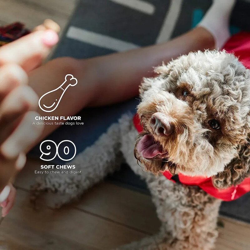 OEM/ODM/OBM Glucosamine Chondroitin MSM Soft Chews Hip and Joint Supplement Chondroitin& MSM Arthritis Supplement for Pet Health