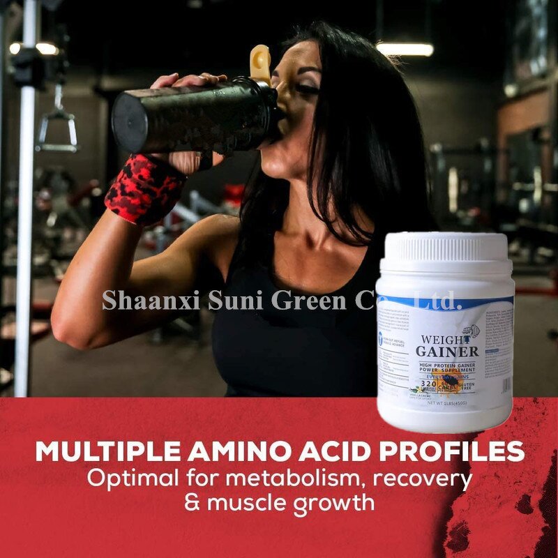 Whey Protein Powder - Manufacturer OEM/ODM/OBM High Protein Muscle Gainer Weight