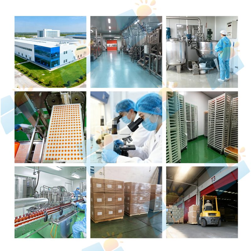 Dog Multivitamin Chews - Manufacturer OEM/ODM/OBM Immunity Digestion Joint