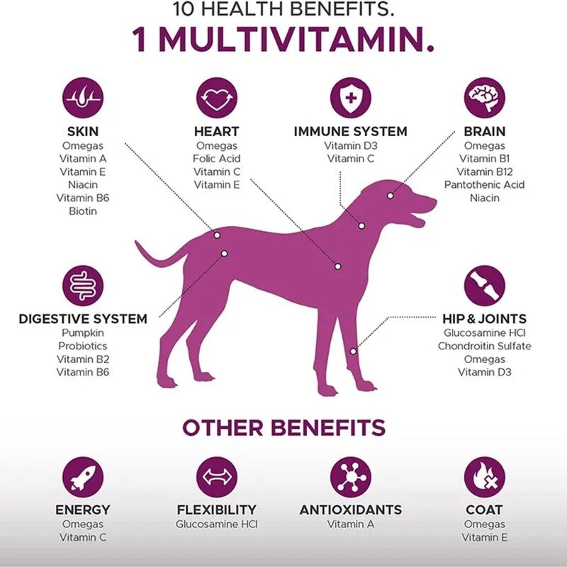Dog Multivitamin Chews - Manufacturer OEM/ODM/OBM 10 in 1 Glucosamine Probiotics