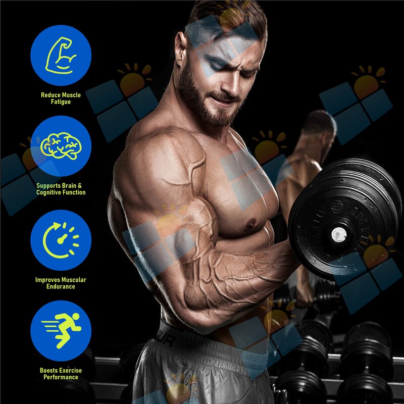 Creatine Lollipop - Manufacturer OEM/ODM Halal Vegan Organic Muscle Building