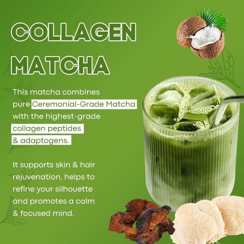 Collagen Matcha Powder - Manufacturer Herbal Antioxidant Skin Elasticity Hydration