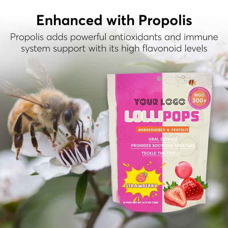 Manuka Honey Lollipop - Manufacturer OEM Propolis Strawberry 24Pc Throat Antioxidant