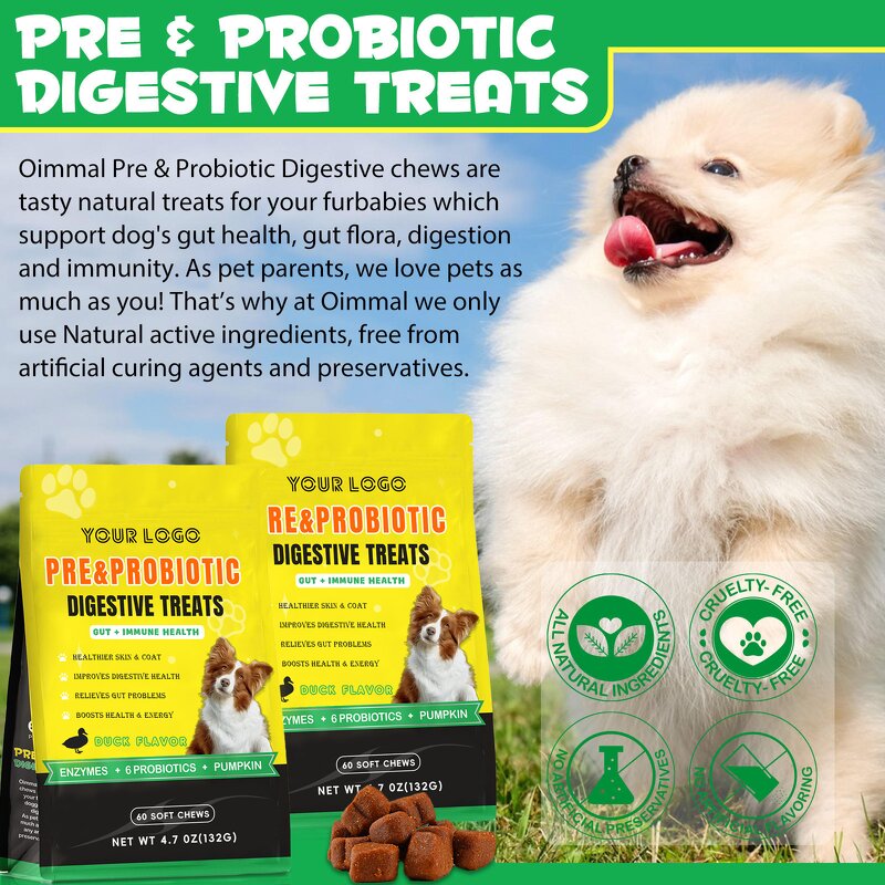 Dog Probiotic Chews - Manufacturer Digestive Enzymes Prebiotic All Breeds Gut
