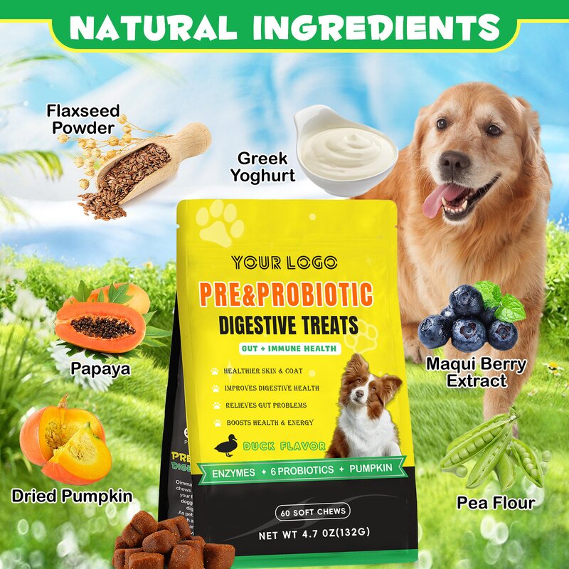 Dog Probiotic Chews - Manufacturer Prebiotics Digestive Snacks Gut Immune Health