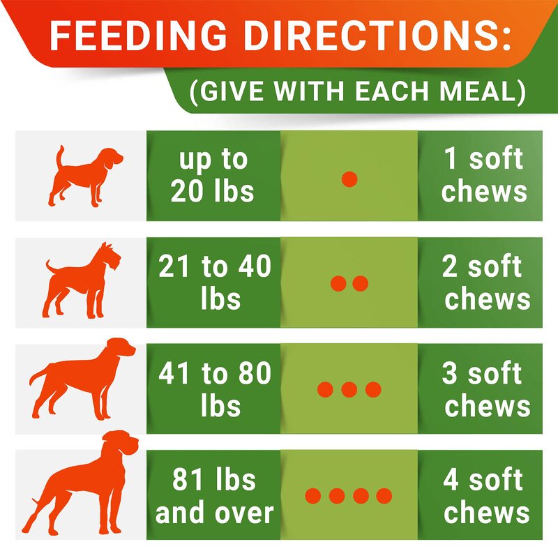 Dog Probiotic Tablets - Manufacturer Hot Selling Digestion Immunity Skin Hair Health