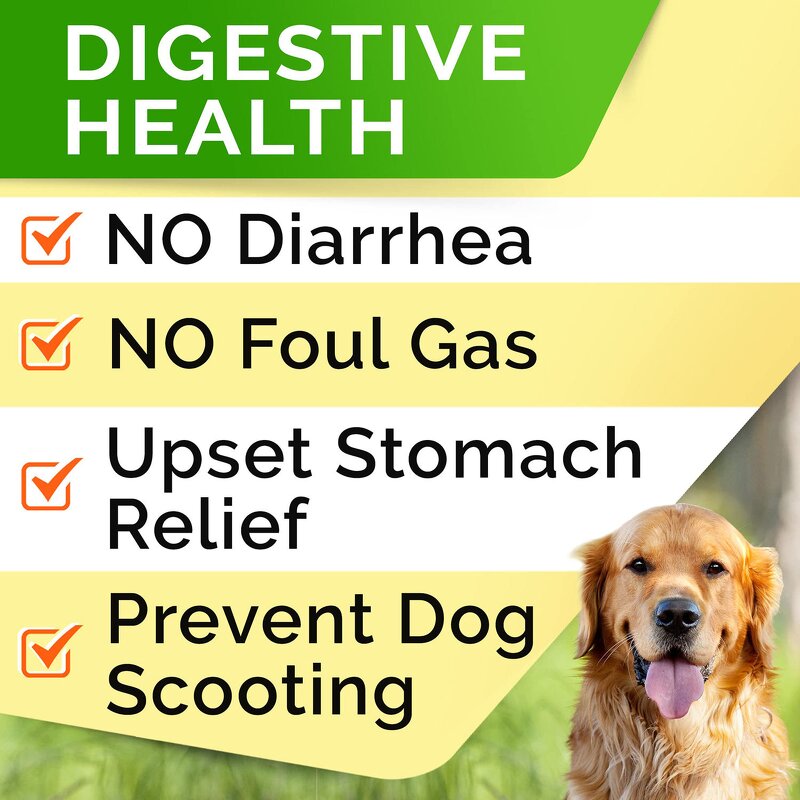 Dog Probiotic Tablets - Manufacturer Hot Selling Digestion Immunity Skin Hair Health