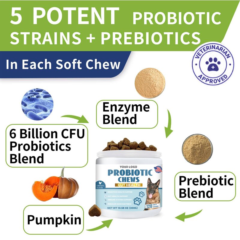 Dog Probiotics - Manufacturer Hot Selling Intestinal Digestive Enzymes Prebiotics