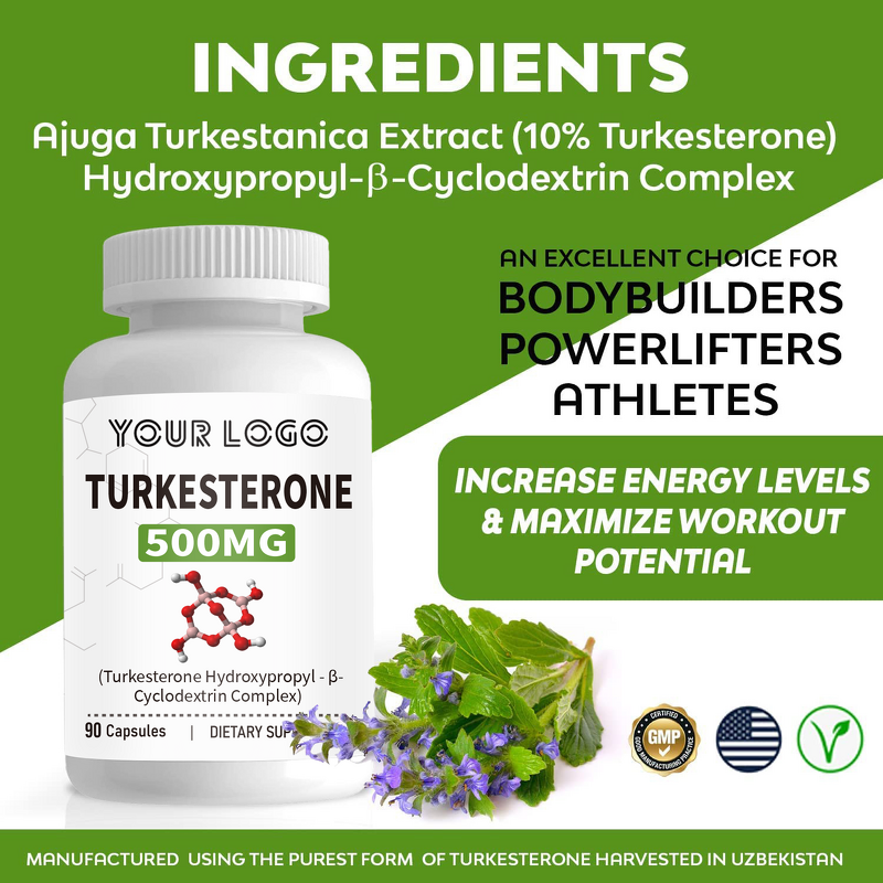 Turkesterone Capsules - Manufacturer OEM Ajuga Extract Bodybuilding Supplement