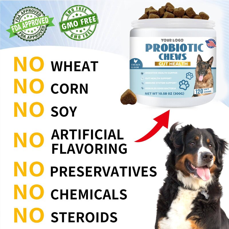 Dog Probiotics - Manufacturer Hot Selling Intestinal Digestive Enzymes Prebiotics