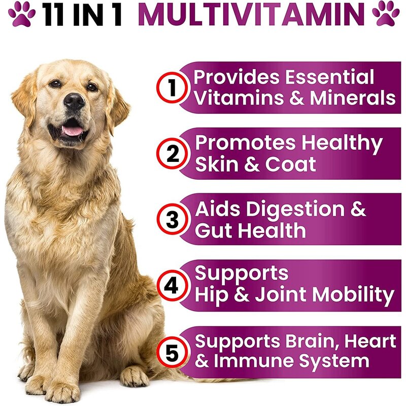 Dog Vitamin Supplement - Manufacturer Salmon Oil Hip Joint Hair Loss Skin Health
