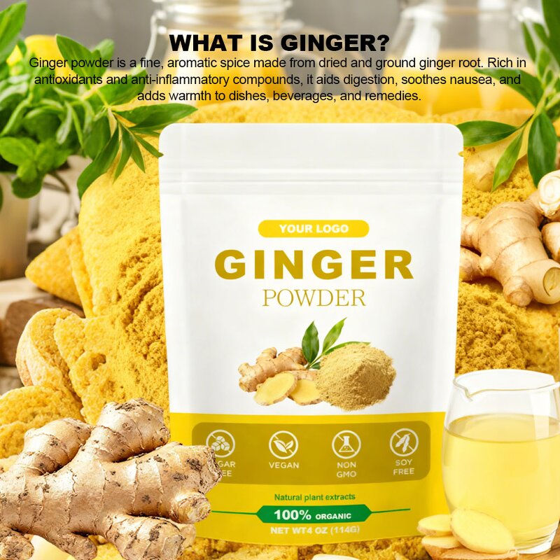 Ginger Root Powder Manufacturer - Premium Organic with Aloe Vera Extract