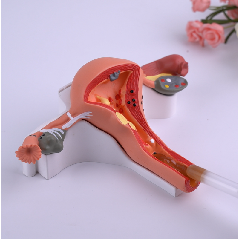 Vaginal Tightening Gel Manufacturer - for Tightening Lubricate & Odor Removal