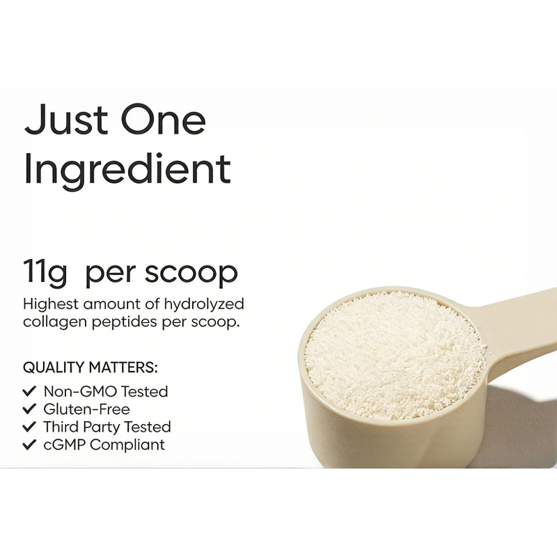Collagen Peptides Powder - Manufacturer GMP 11g/Scoop Hair Skin Nail Joint