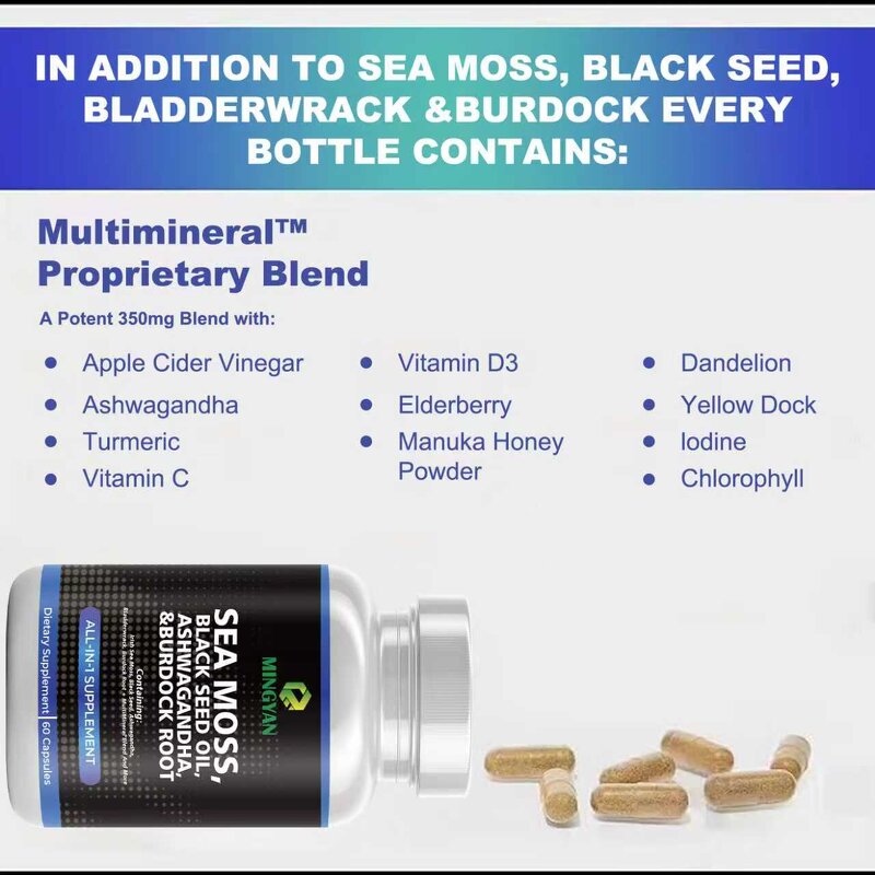 Whey Protein Powder - Manufacturer OEM/ODM Gold Standard 24g Protein Chocolate