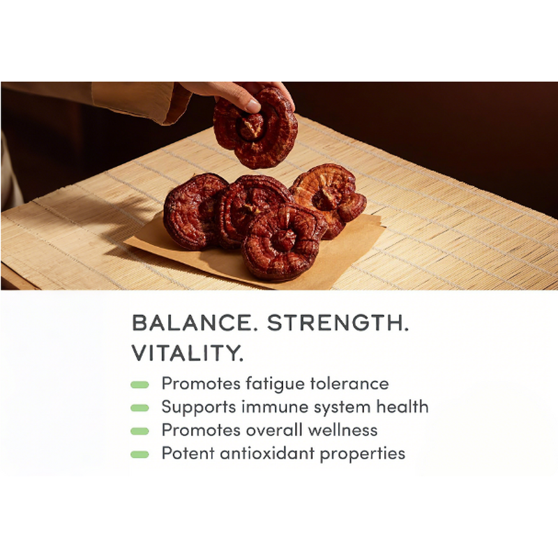 Reishi Extract Capsules - Manufacturer OEM/ODM Ganoderma Spore Immune Support